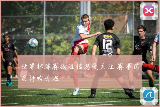 世界杯球赛投注信息受关注 赛事热度持续升温