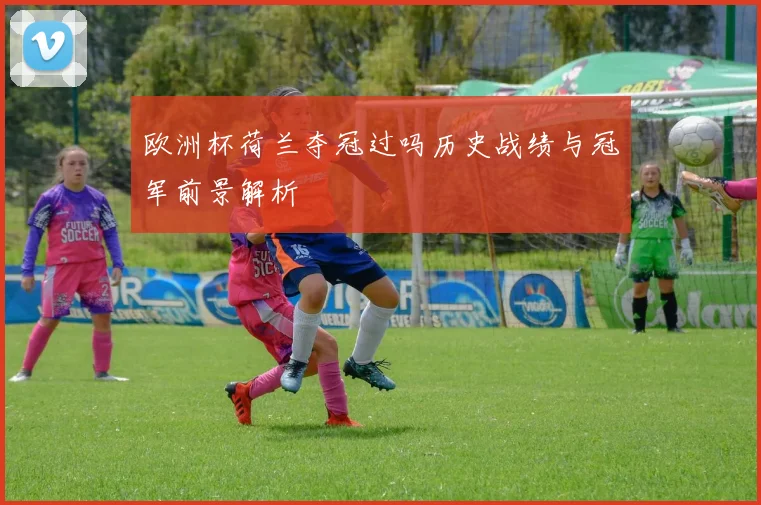 欧洲杯荷兰夺冠过吗历史战绩与冠军前景解析